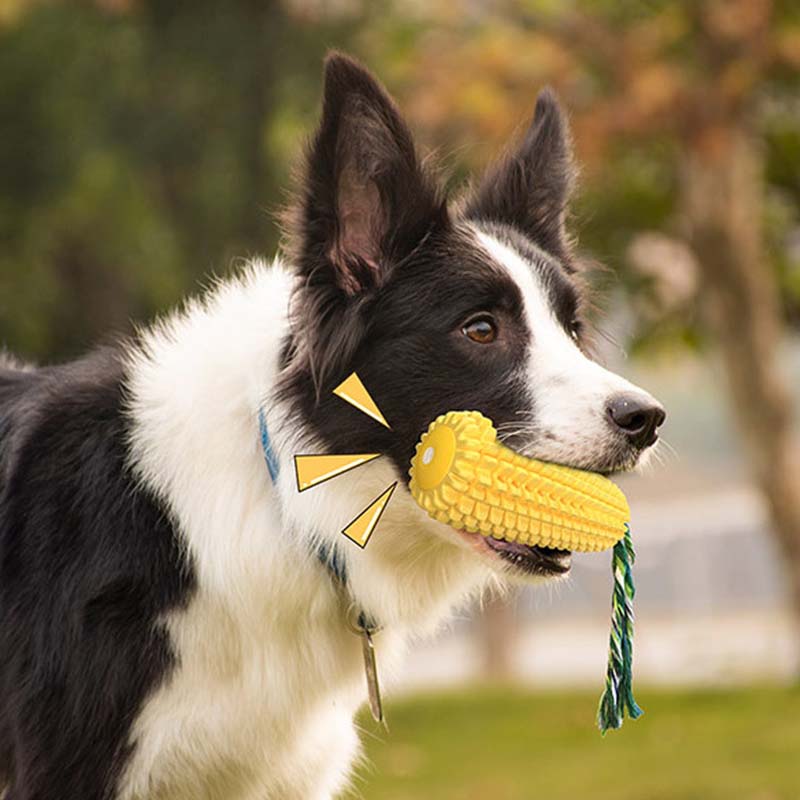 Jouet à mâcher pour chien en f - Corn Dog Stick avis et prix
